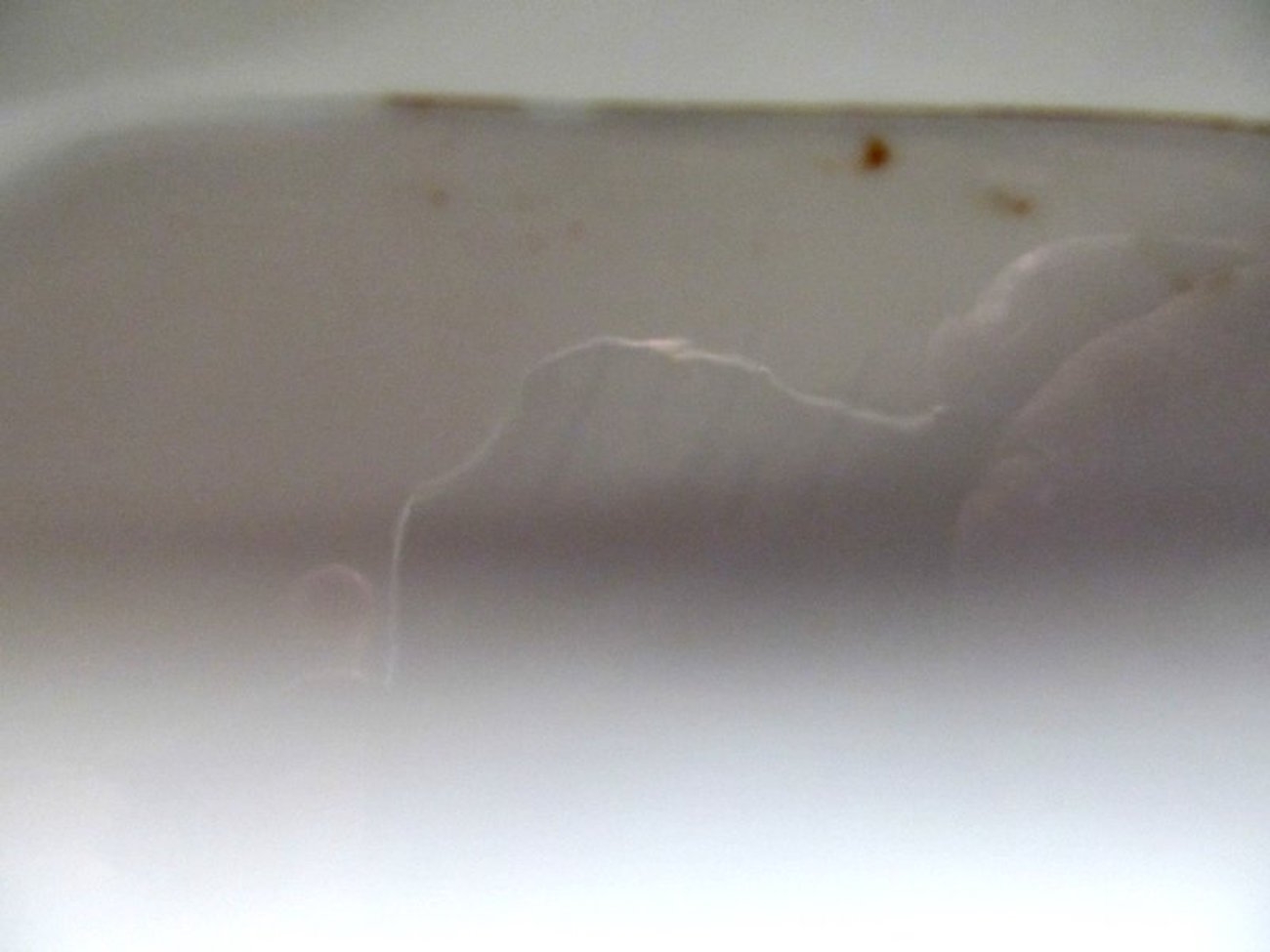 Antique French Porcelaine de Paris Soup Tureen and Matching Platter - Image 4