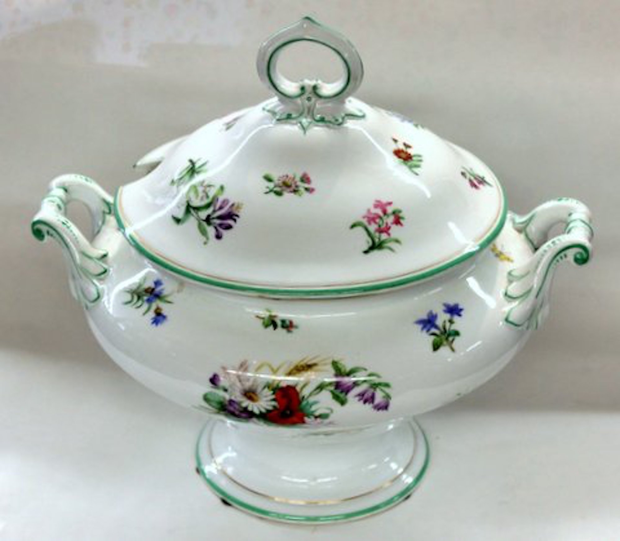 Antique Continental Hand-painted Porcelain Botanical Soup Tureen