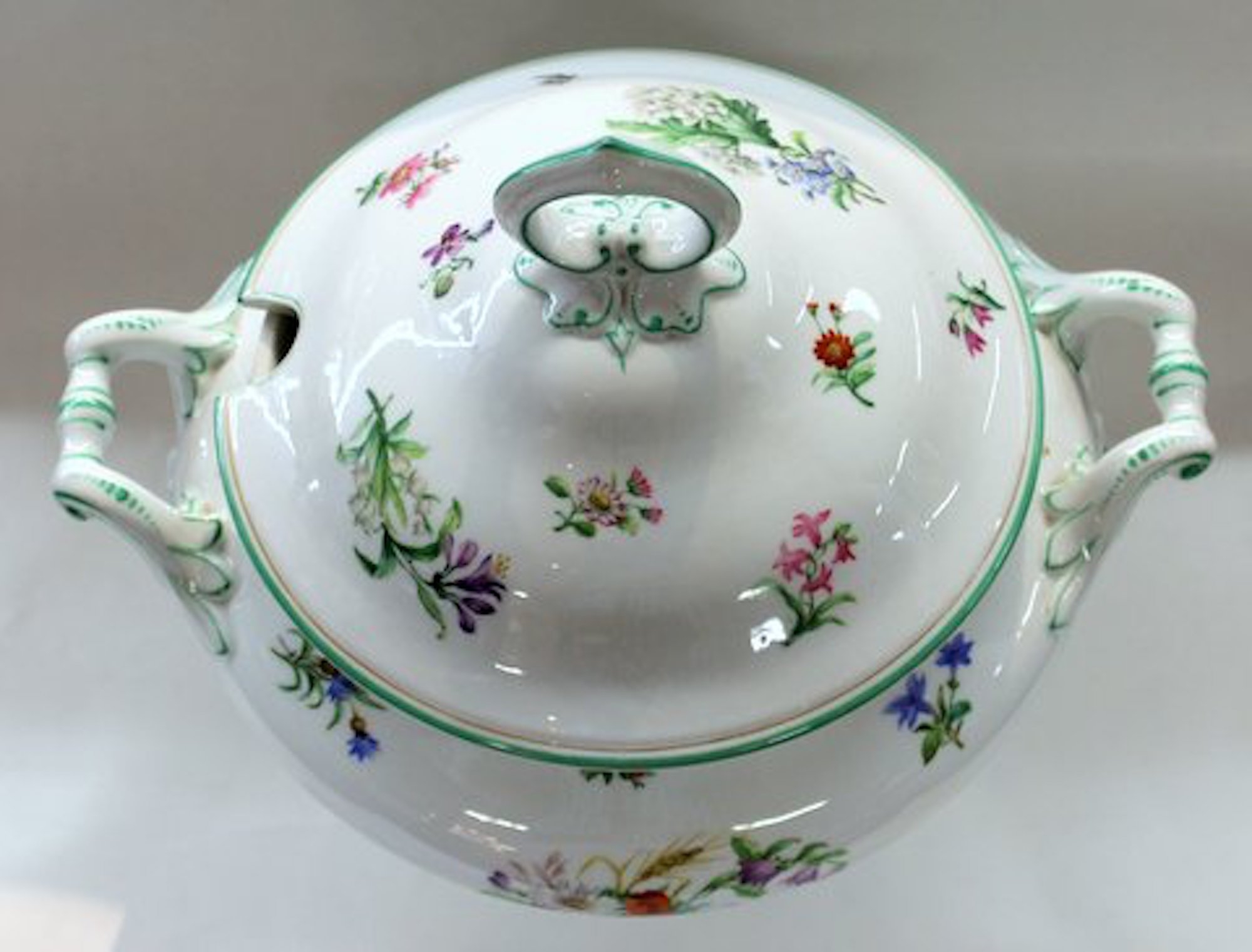 Antique Continental Hand-painted Porcelain Botanical Soup Tureen - Image 10