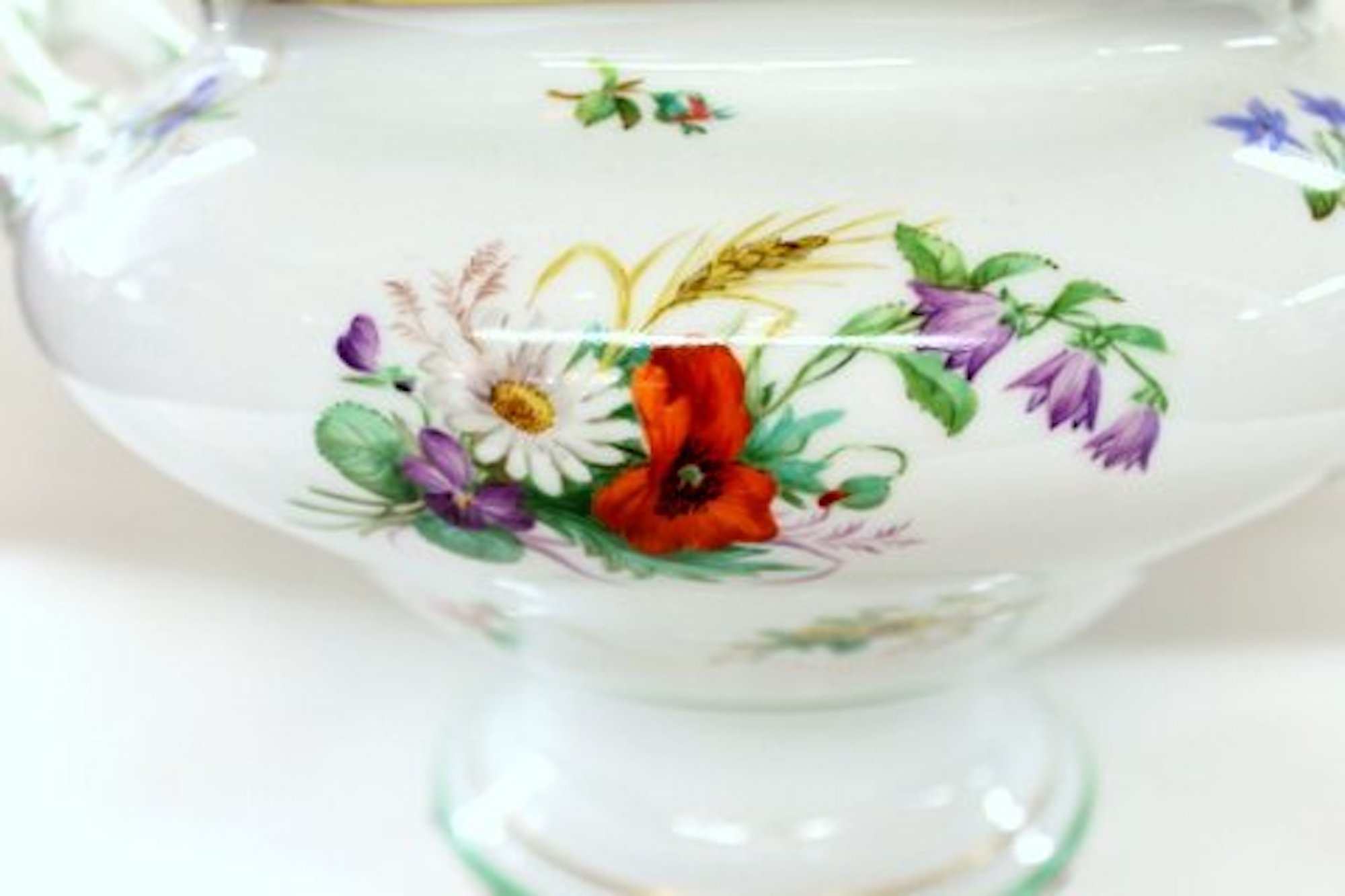 Antique Continental Hand-painted Porcelain Botanical Soup Tureen - Image 9